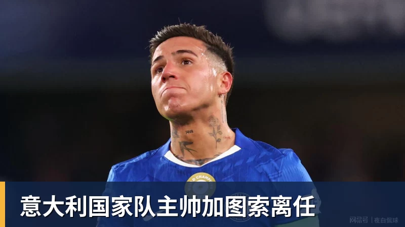 意大利国家队主帅加图索离任