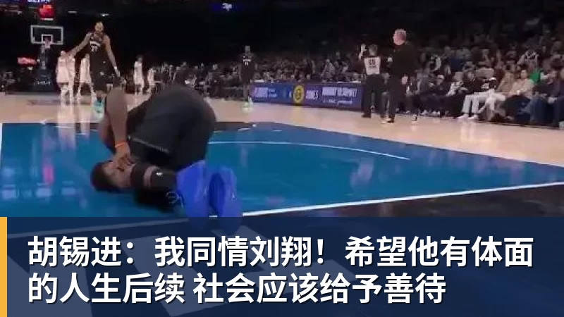 九游体育胡锡进：我同情刘翔！希望他有体面的人生后续 社会应该给予善待