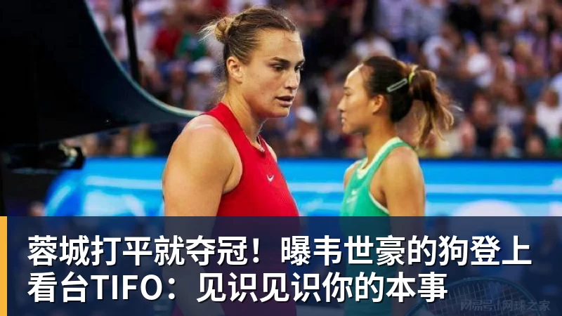 九游体育蓉城打平就夺冠！曝韦世豪的狗登上看台TIFO：见识见识你的本事